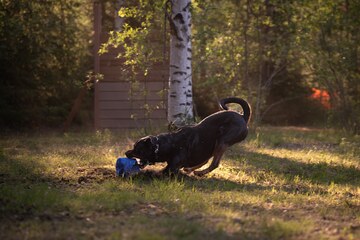 Muut kurssit / seminaariviikonloput